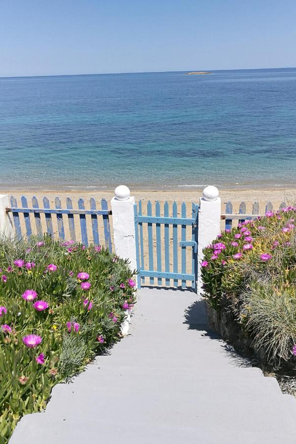 Willa Anemos Seaside House Skyros Zewnętrze zdjęcie